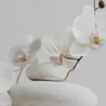 대구 출장 힐링! 베트남마사지 후기: 찐 경험담💆‍♂️